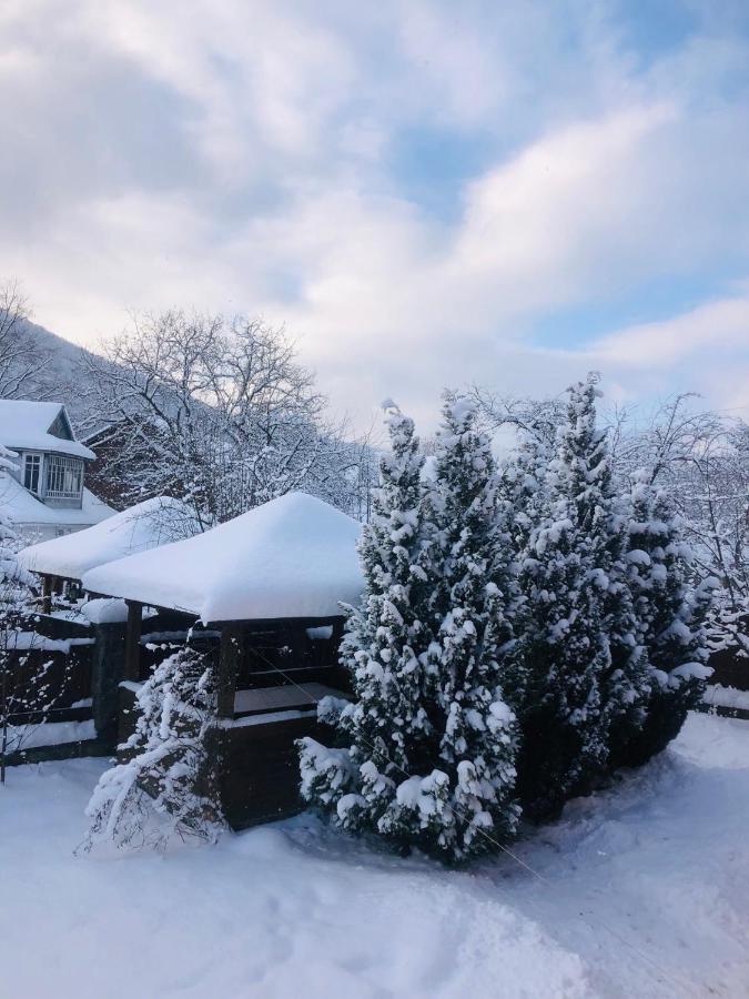 Котедж Гірський Yaremche Bagian luar foto