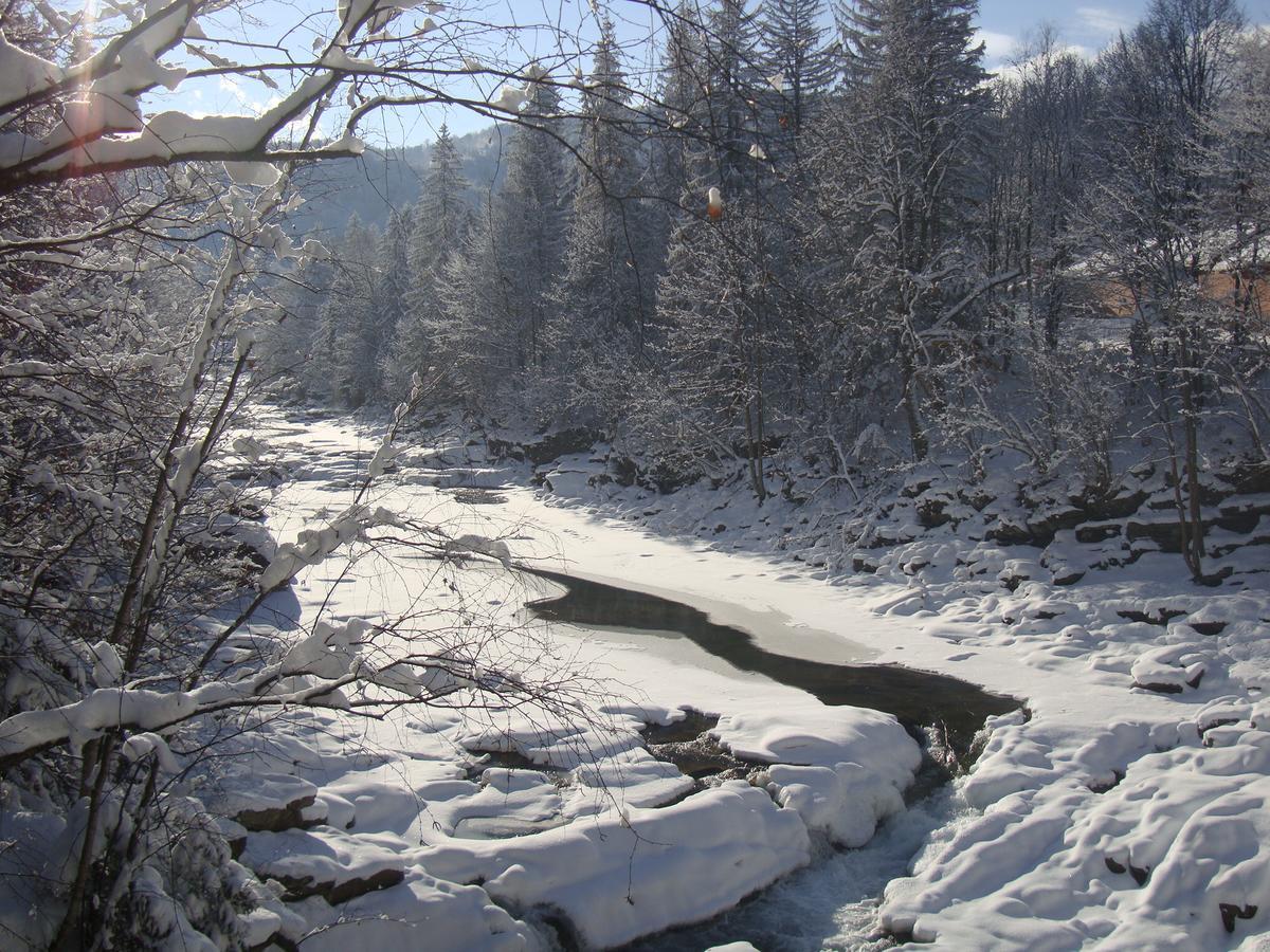Котедж Гірський Yaremche Bagian luar foto