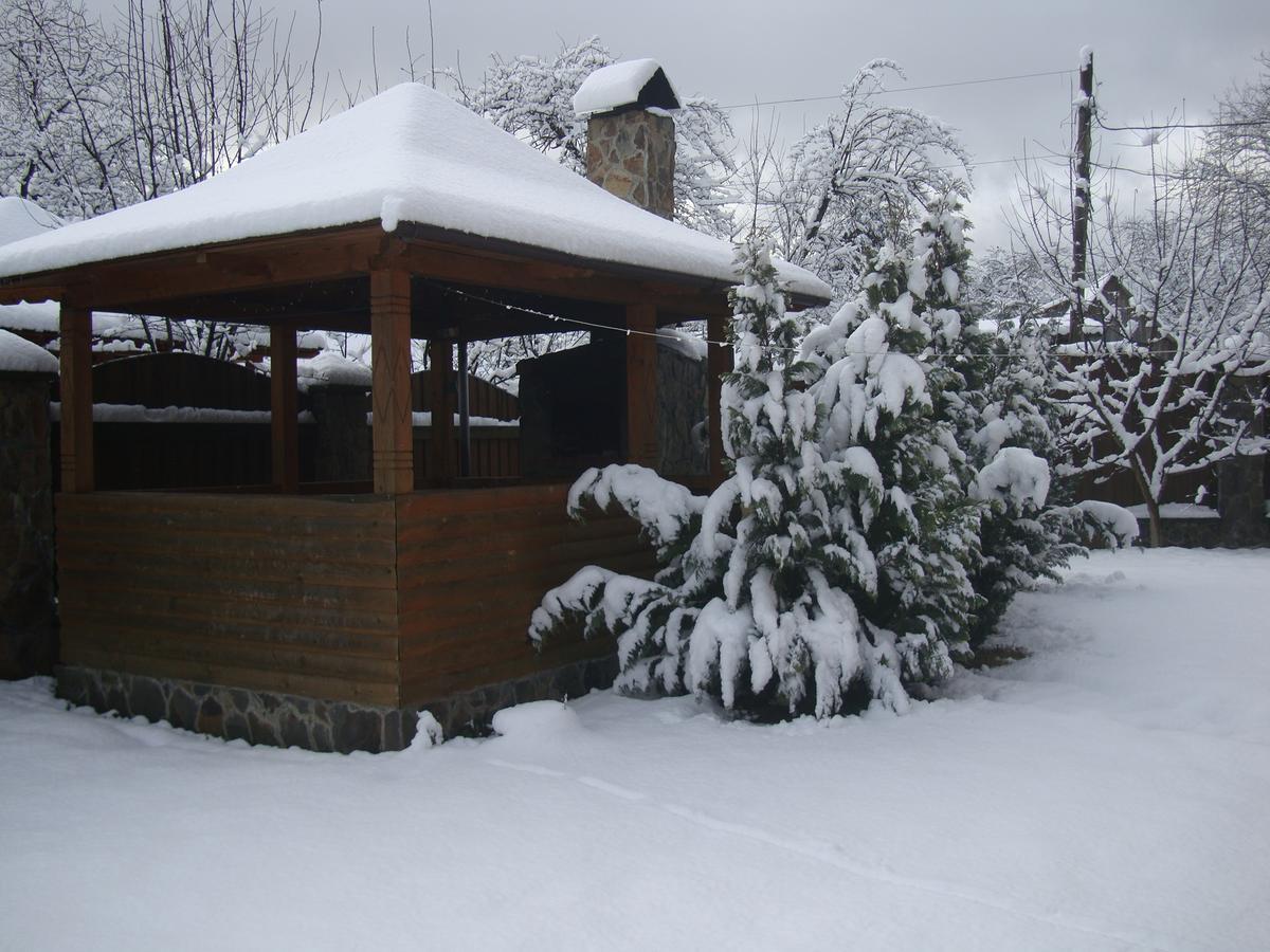 Котедж Гірський Yaremche Bagian luar foto
